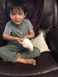 boy-pet-hamster