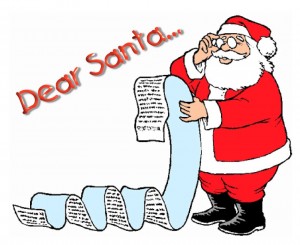 Dear Santa: 12 Things I REALLY Want for Xmas